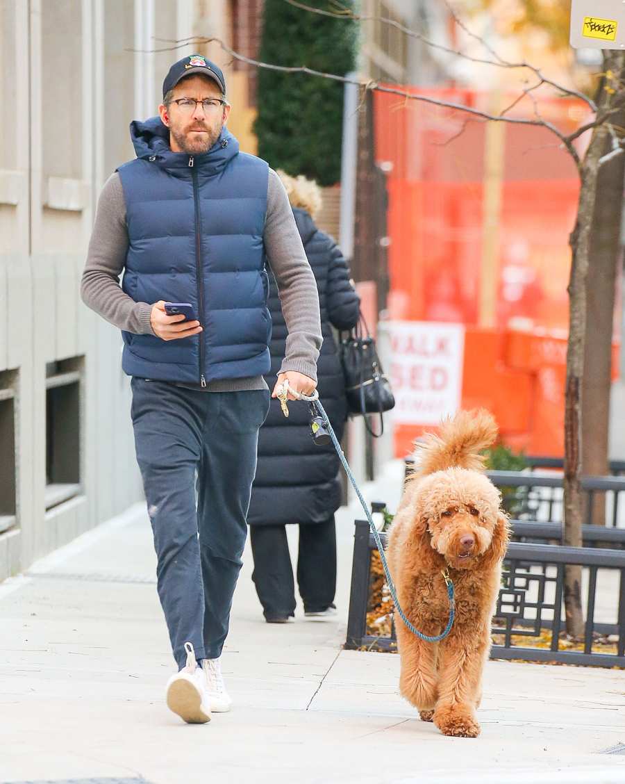 Jake Ryan Chris Hot Hunks Walking Their Dogs Ryan Reynolds