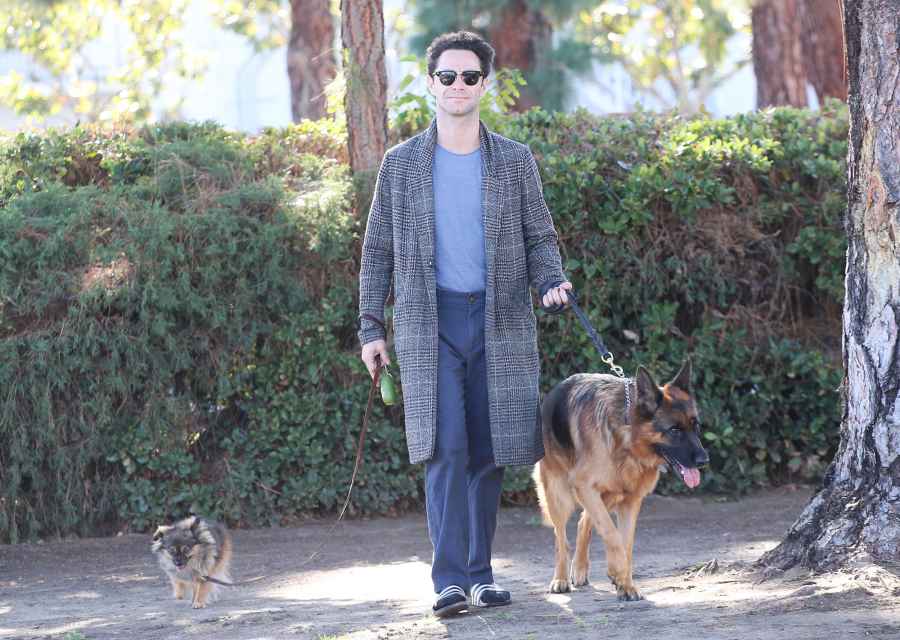 Jake Ryan Chris Hot Hunks Walking Their Dogs Sasha Farber