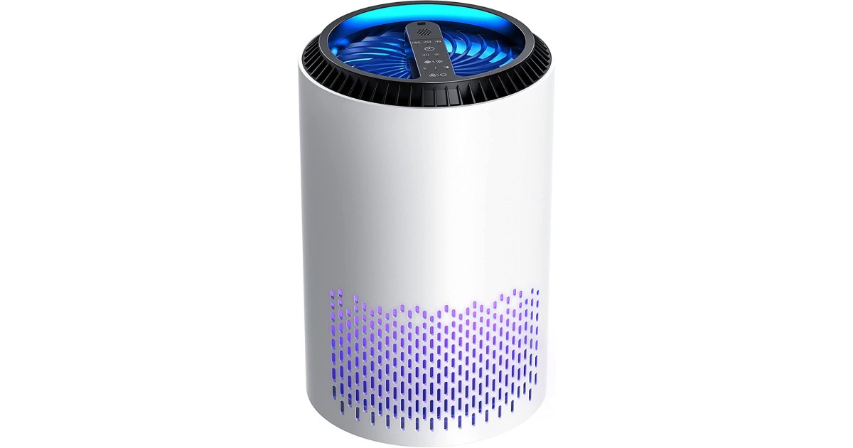 Black Friday Deal: This No. 1 Bestselling Air Purifier Is 33% Off and Selling Fast.jpg