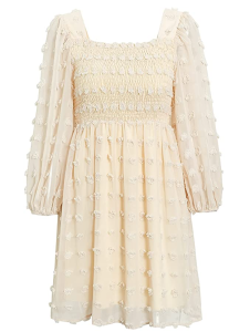 Miessial Women's Chiffon Ruffle Mini Dress