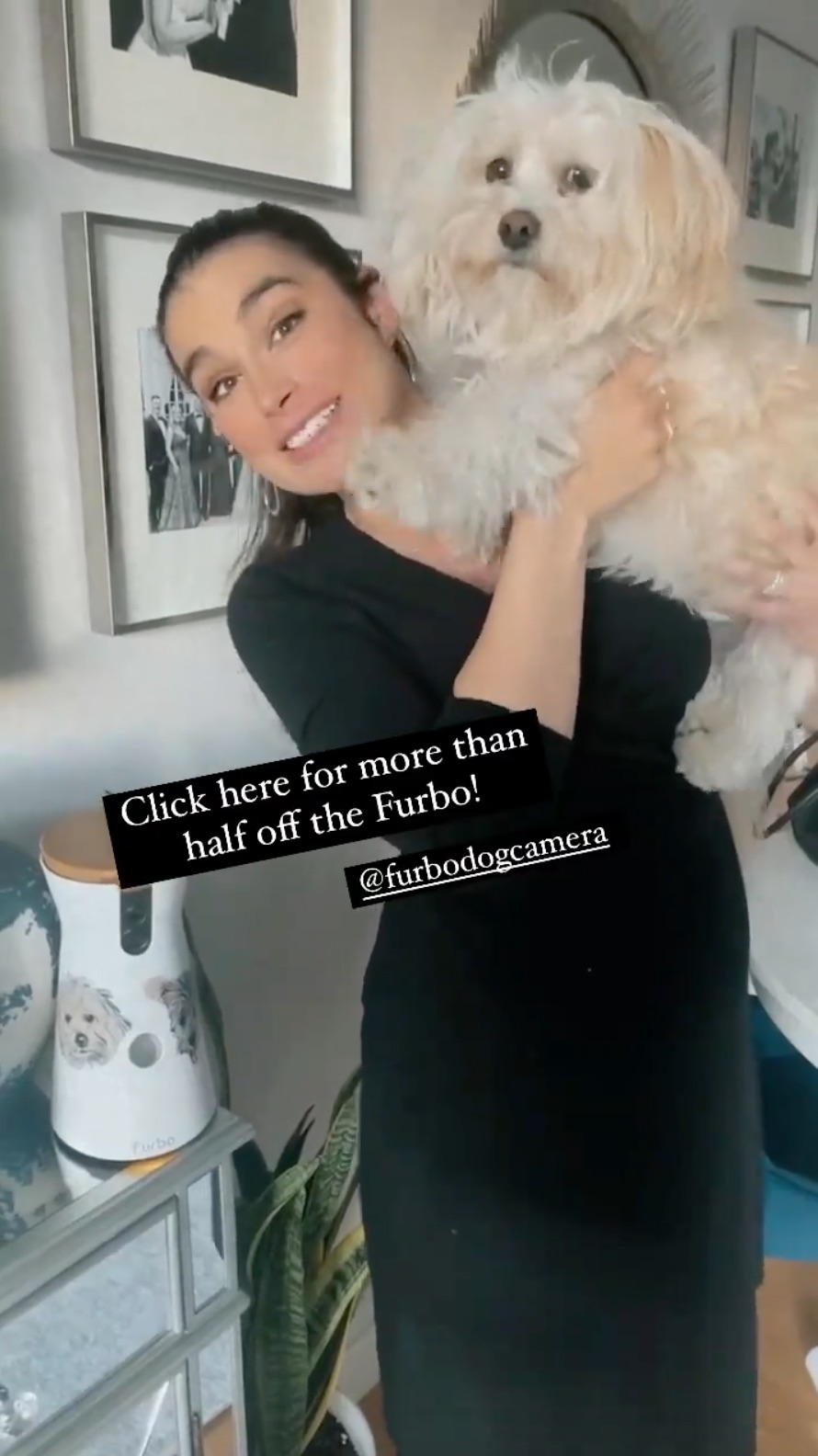 Pregnant Ashley Iaconetti Shows Bump Progress Dog Mom