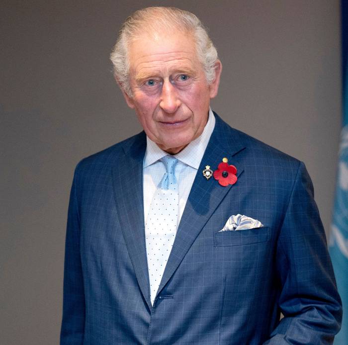 Prince Charles Denies New Book's Claim He Made a Comment About Archie’s Skin Color 2