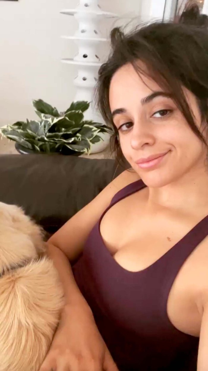 Puppy Love Camila Talks Being Thankful Grateful After Shawn Split