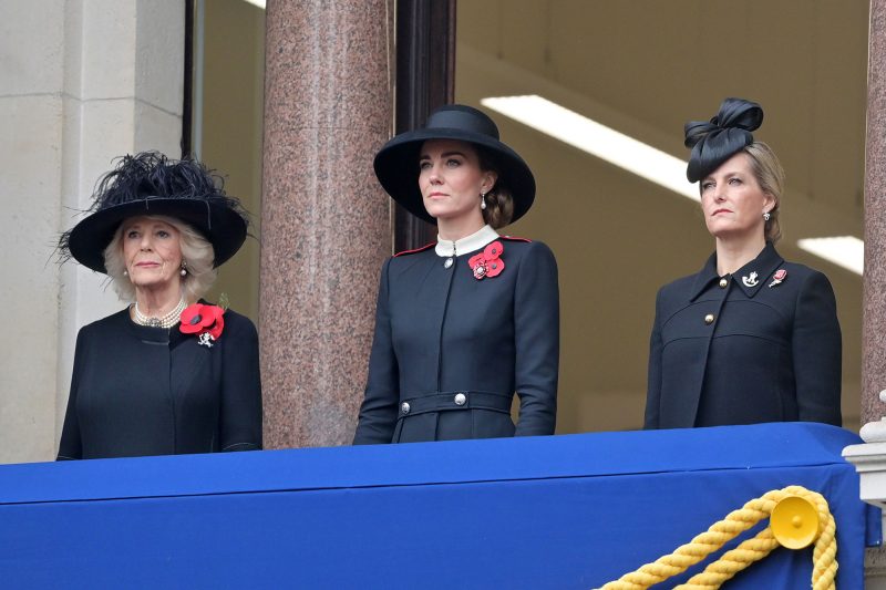 Queen Elizabeth II Is 'Disappointed' to Skip Remembrance Day Service Following Recent Hospitalization