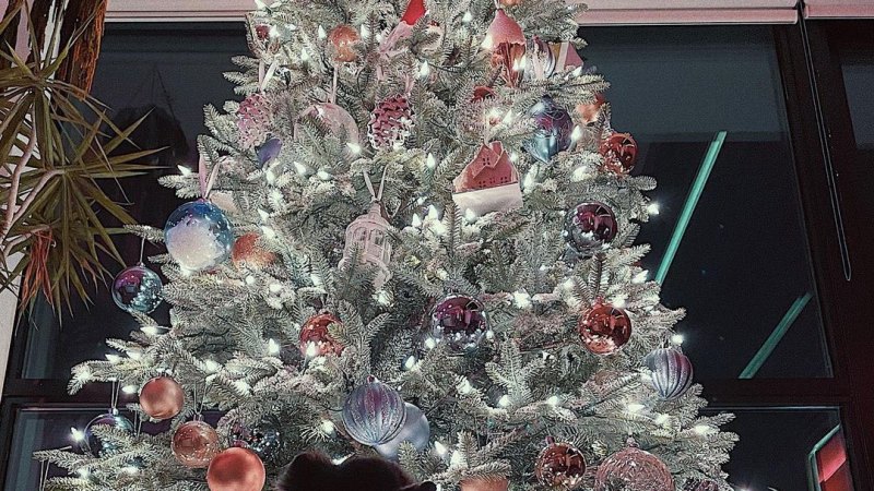 Kendall Jenner Kicks Off December With a Fully-Decorated Christmas Tree