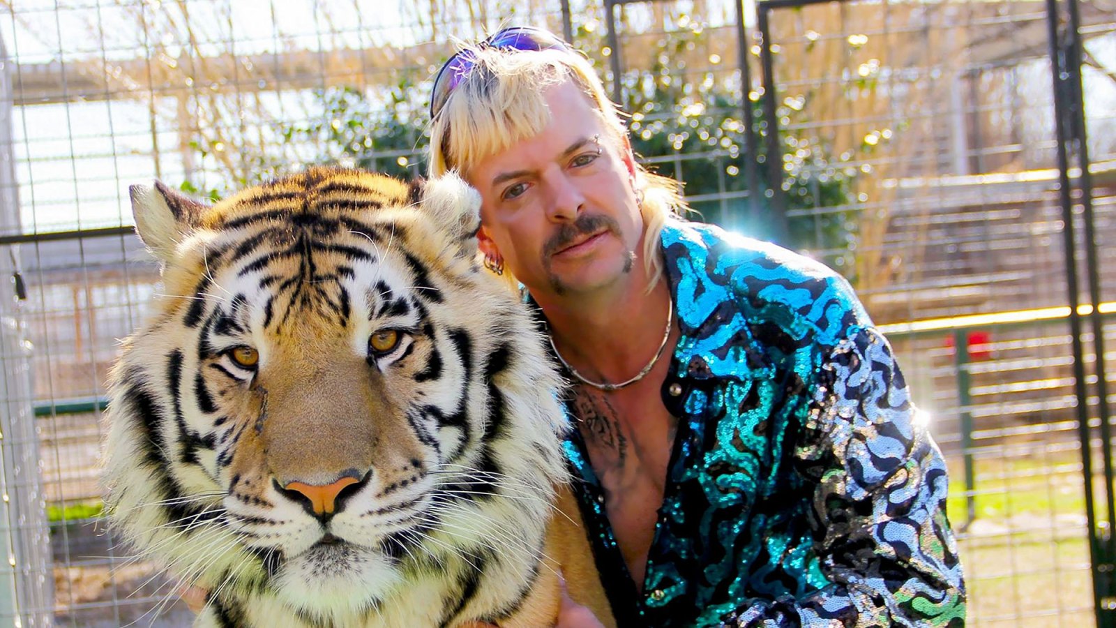 Tiger King's Joe Exotic Requests Prison Release Following 'Aggressive' Cancer Diagnosis