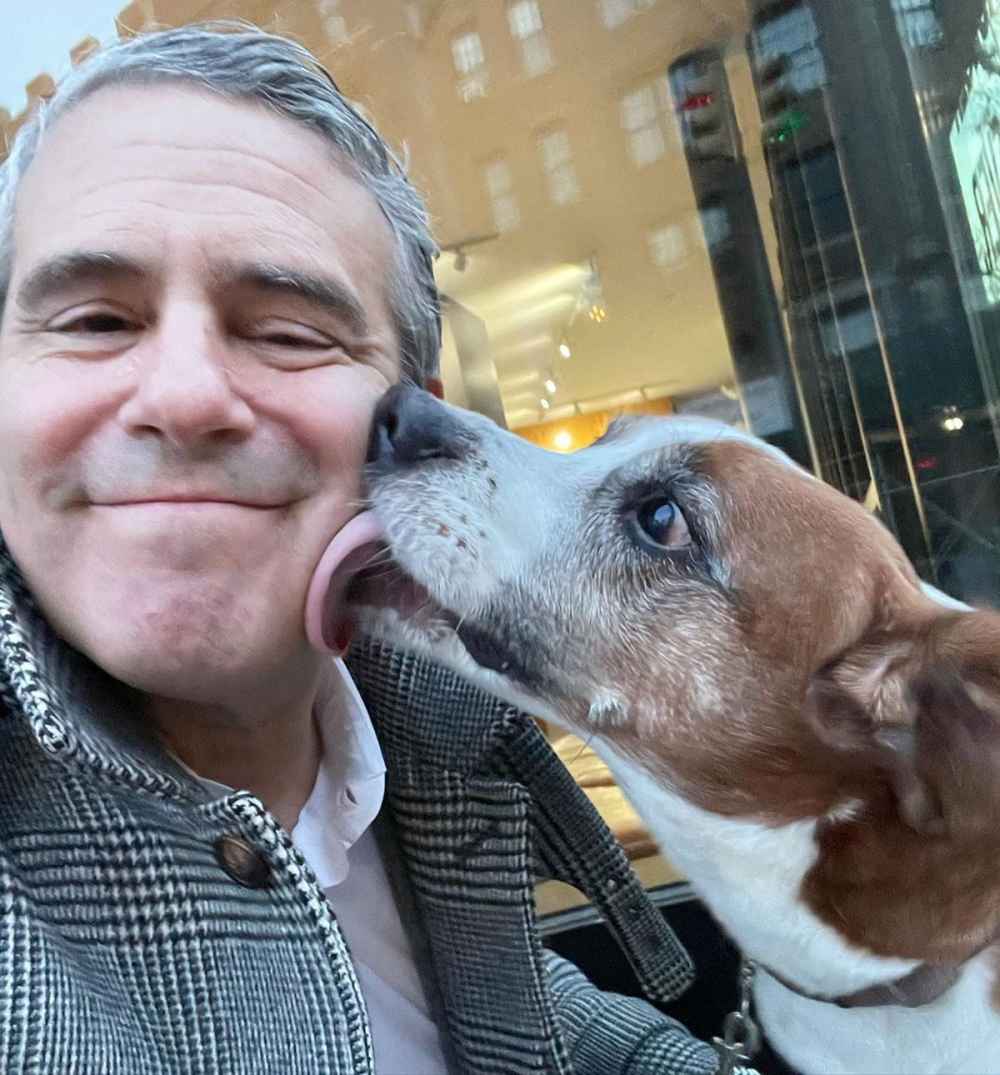 Aww See Andy Cohen Sweet Reunion With His Dog Wacha