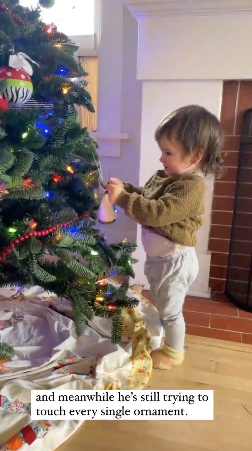 Bekah Martinez Celeb Families Choosing Christmas Trees