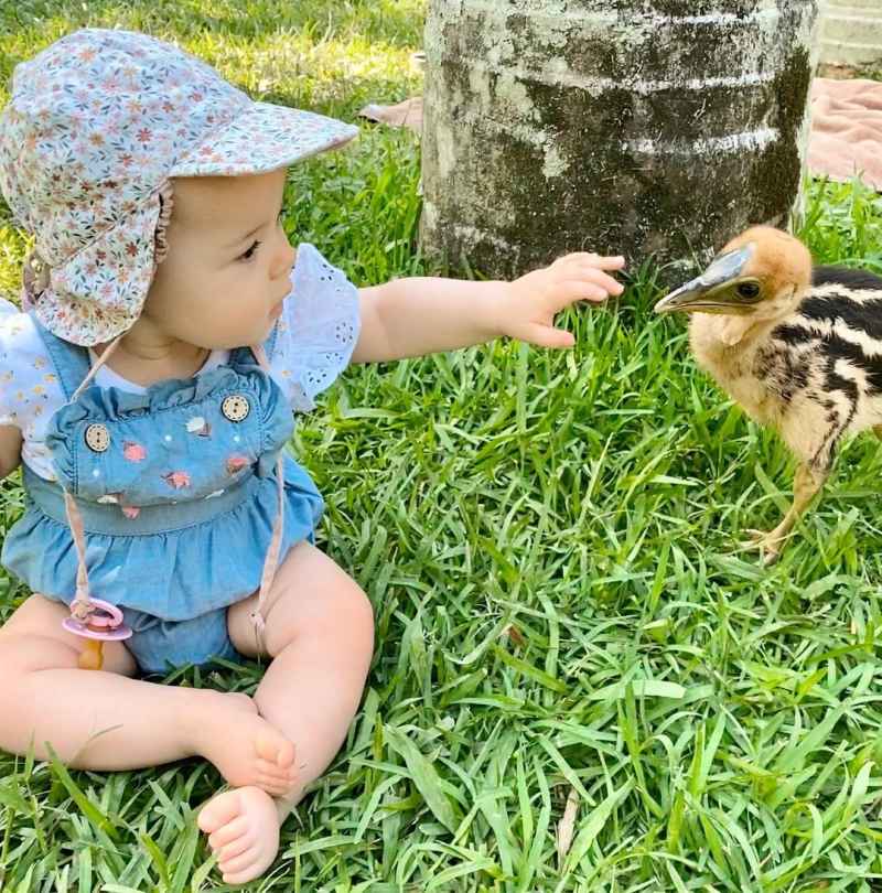 Bindi Irwin, Chandler Powell's Daughter Meets Cassowary Chick, More Animals