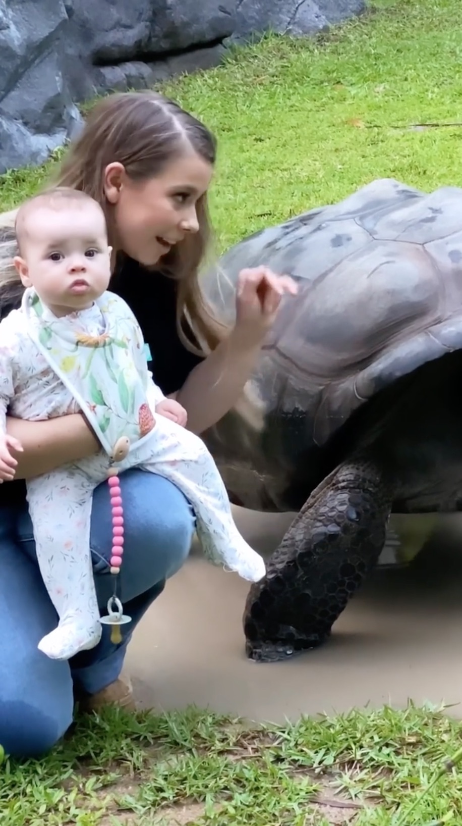 Bindi Irwin, Chandler Powell's Daughter Meets Tortoises and More Animals