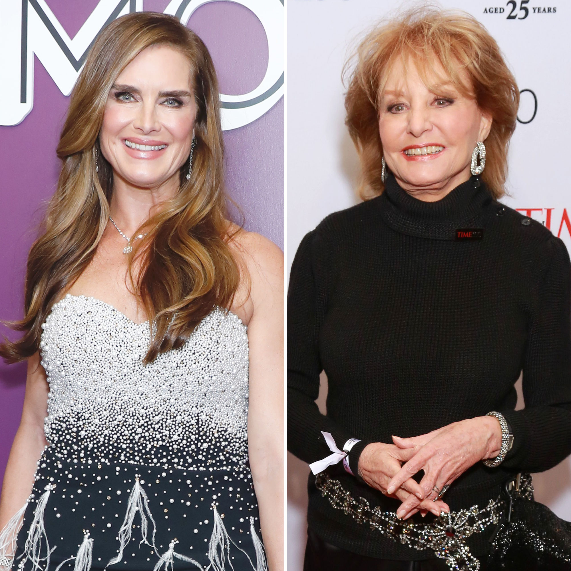 Brooke Shields Reflects on Barbara Walters Interview About Infamous Ad image