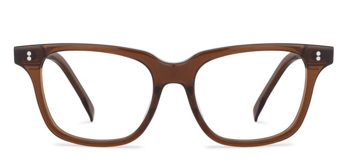 Brown Wayfarer eyeglasses