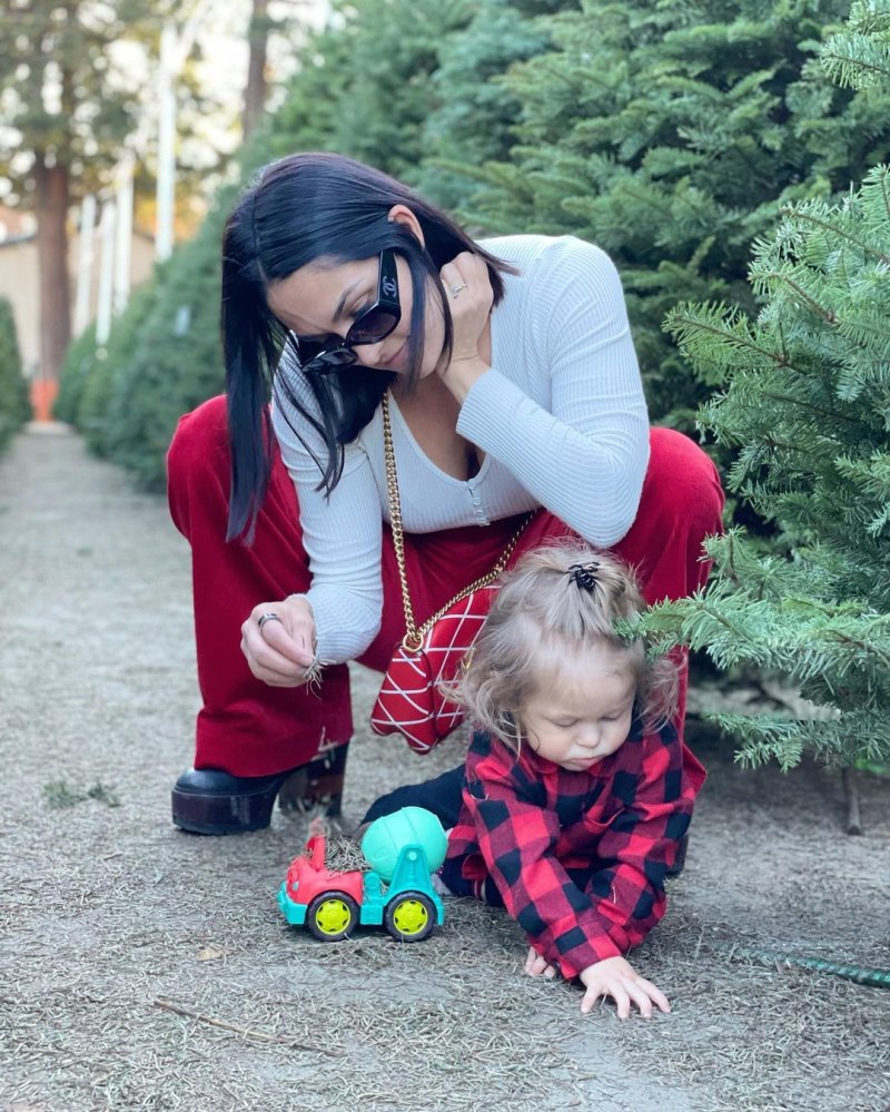 Happy Holidays! Nikki Bella, More Celeb Families Choosing Christmas Trees
