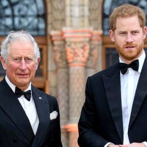 Prince Harry Charles Are Communication But Have A Lot Issues