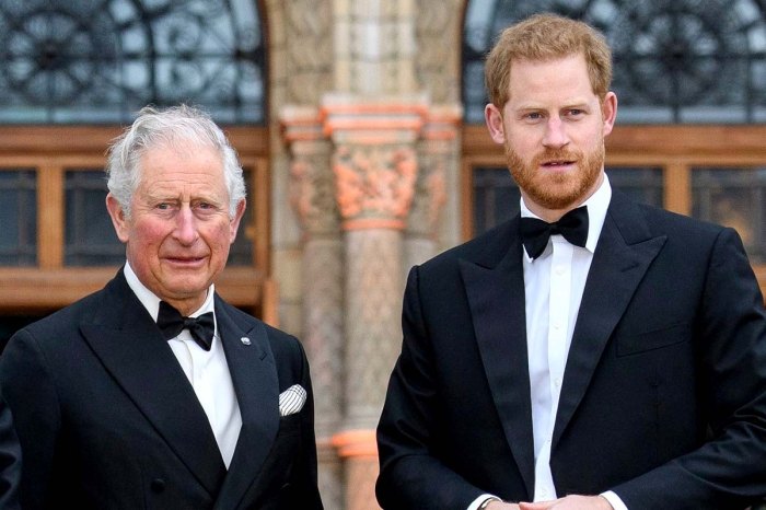 Prince Harry Charles Are Communication But Have A Lot Issues