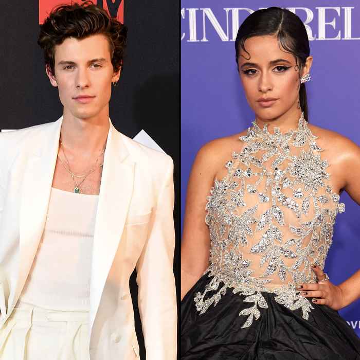 Shawn Mendes Debuts Emotional Song After Camila Cabello Split