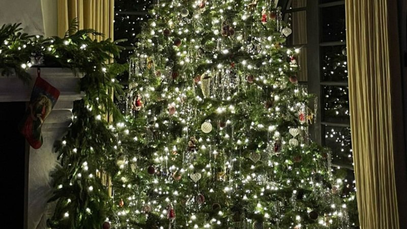 Kendall Jenner Kicks Off December With a Fully-Decorated Christmas Tree