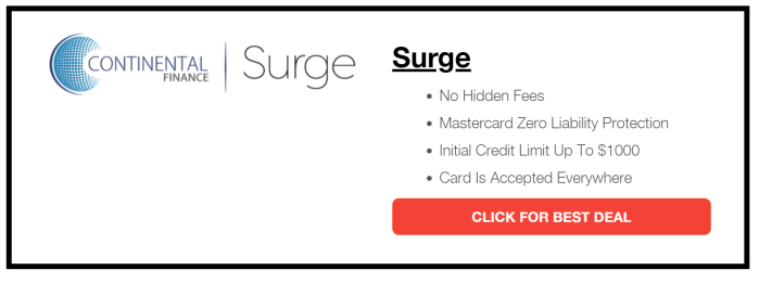 Surge Card