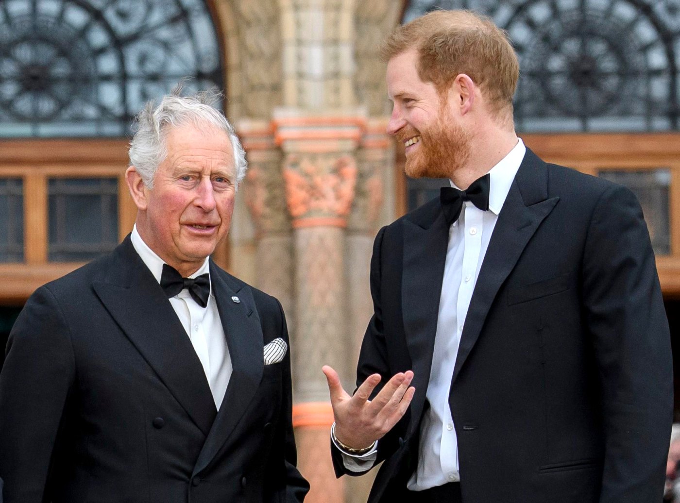 Prince Charles, Prince Harry Relationship Has 'Absolutely' Improved