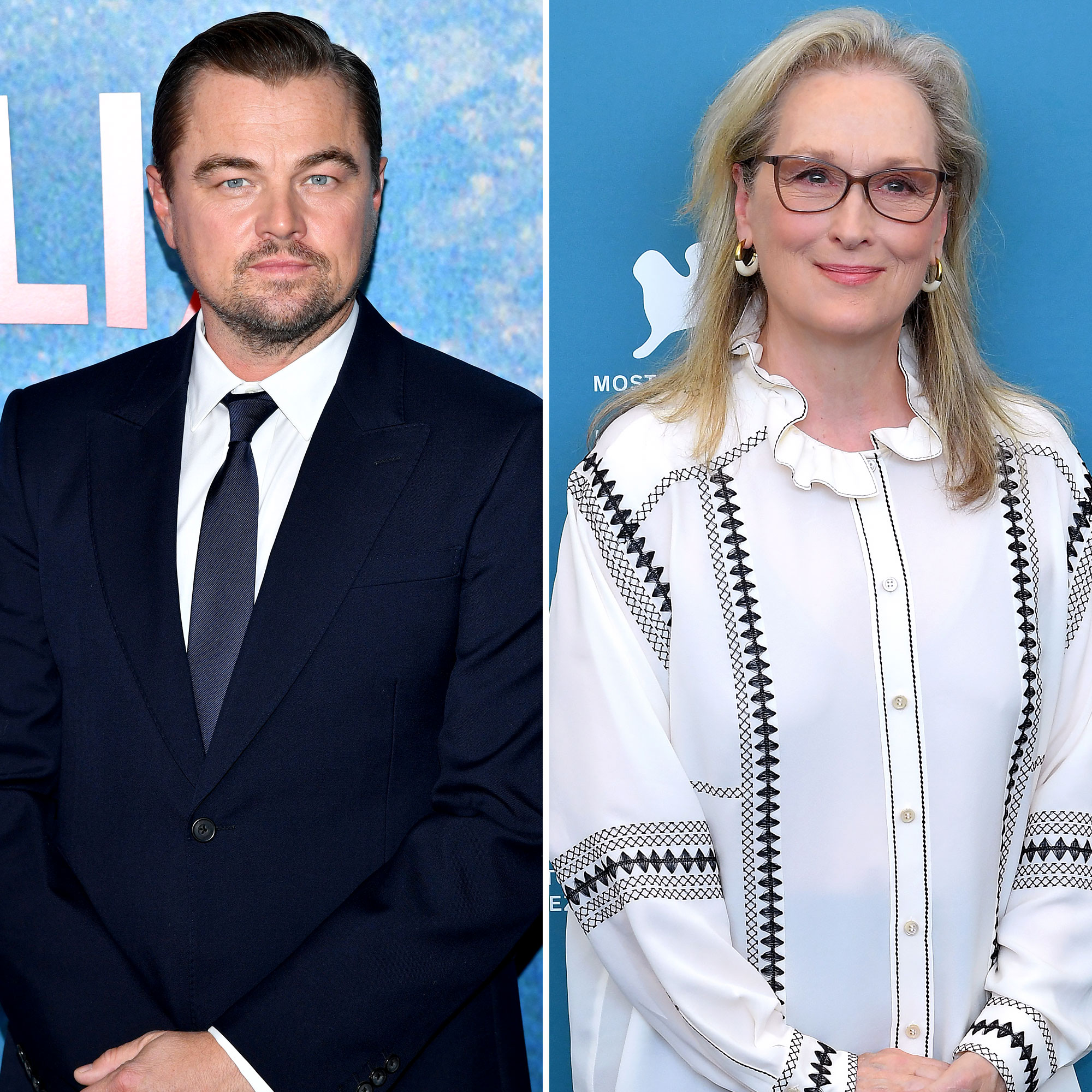 Leonardo DiCaprio Had a Problem With Meryl Streeps Nude Scene