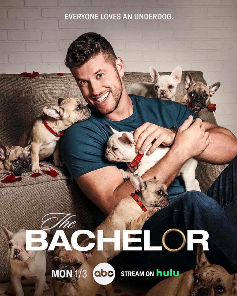 Wildest Bachelor Posters