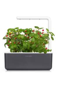 indoor-garden