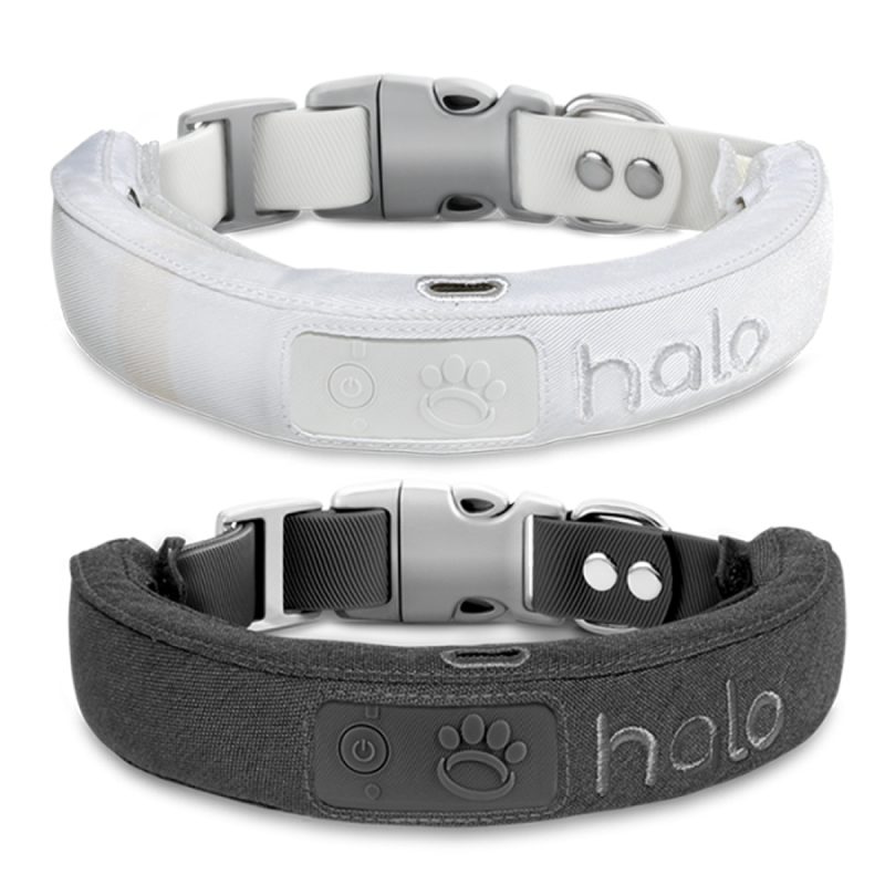 last-minute-gifts-halo-collar