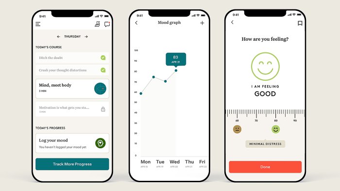 noom-mood-logging-schedule