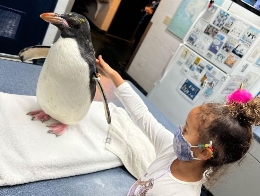 Girls’ Day! Chrissy Teigen Takes Daughter Luna to the Zoo