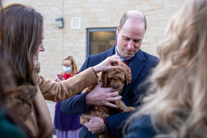 Duchess Kate and Prince William Meet an Adorable Cockapoo Therapy Puppy During Hospital Visit