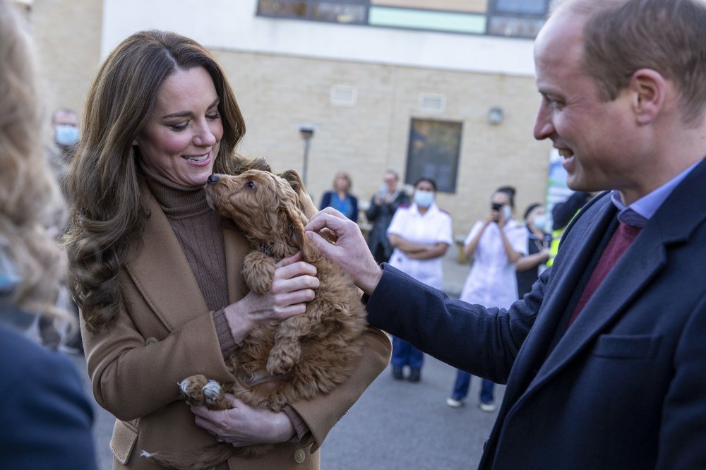 Duchess Kate and Prince William Meet an Adorable Cockapoo Therapy Puppy During Hospital Visit