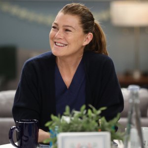 Greys Anatomy Renewed for Season 19 Ellen Pompeo