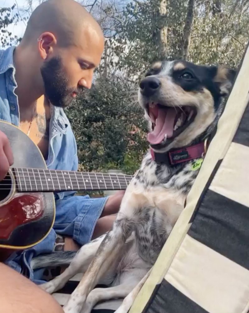 Kacey Musgraves BF Cole Schafer Relationship Timeline