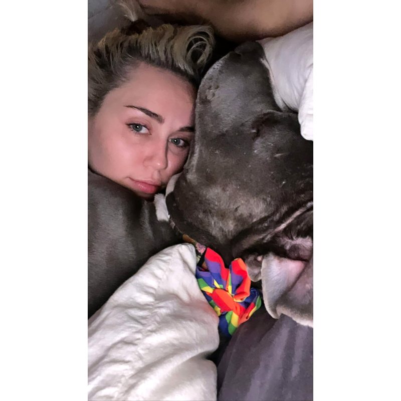Miley Cyrus and Celebrities Cozy Up With Their Pets