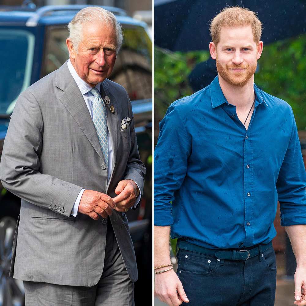 Prince Charles Mentioning Prince Harry&rsquo;s Environmental Efforts Was a Peace Offering Amid Tense Relationship Says Royal Expert