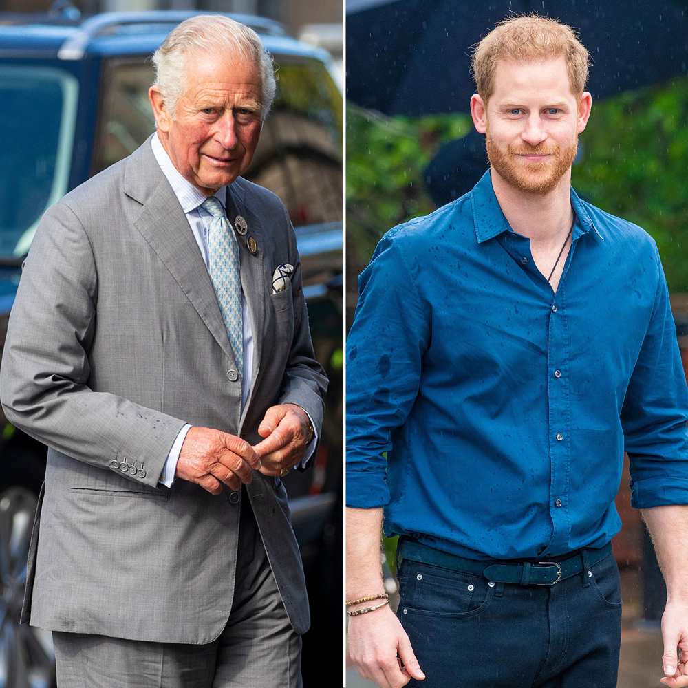 Prince Charles Mentioning Prince Harry’s Environmental Efforts Was a Peace Offering Amid Tense Relationship Says Royal Expert