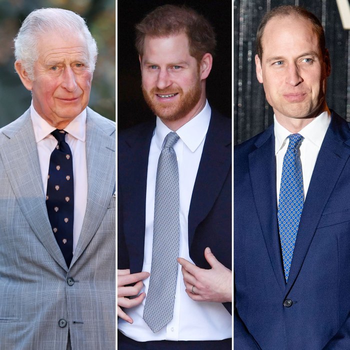 Prince Charles Says He’s ‘Proud’ of Harry, William’s Work