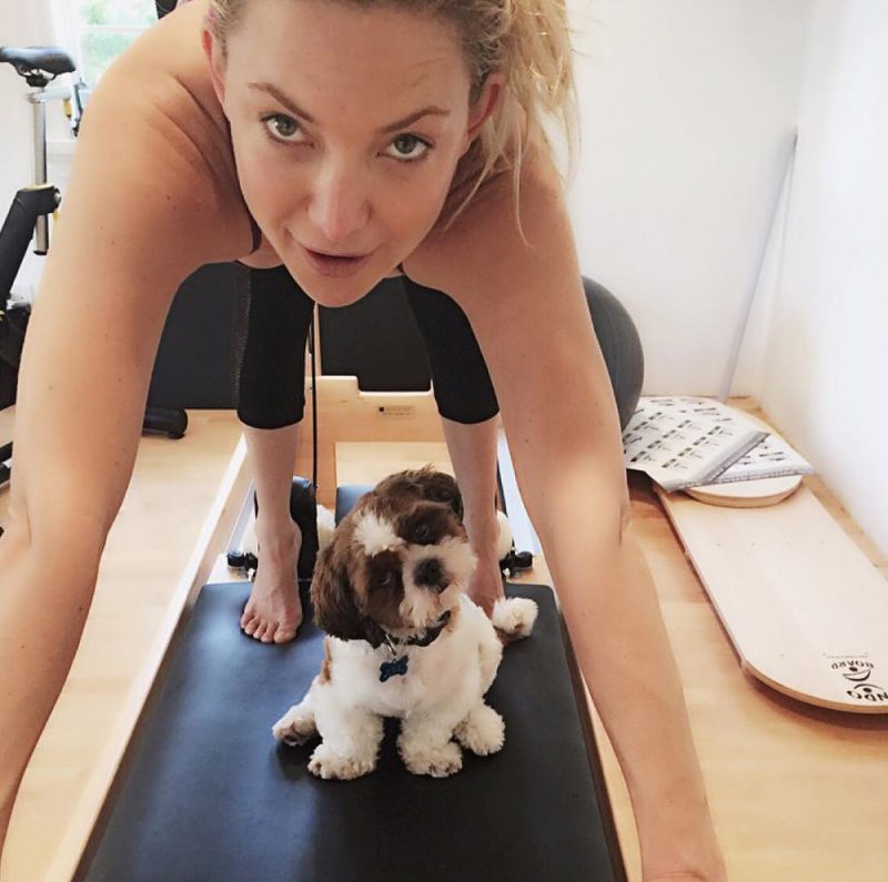 Stars Who Work Out With Their Pets
