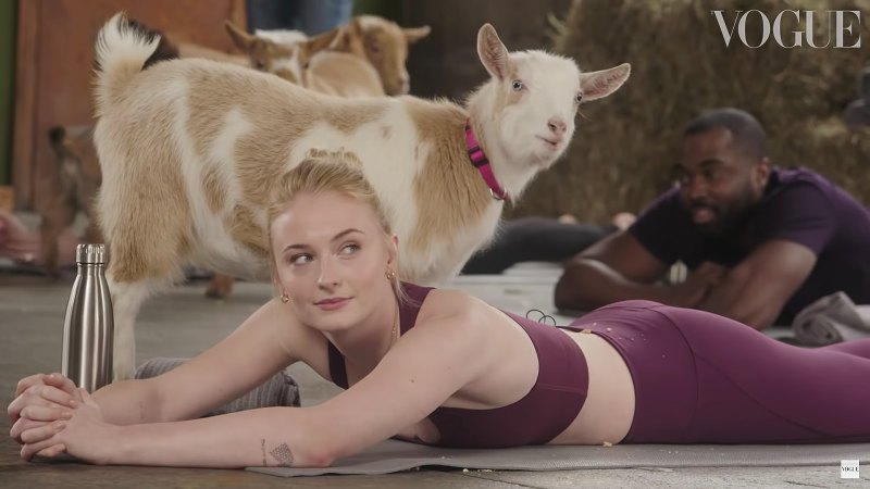 Stars Who Work Out With Their Pets Sophie Turner