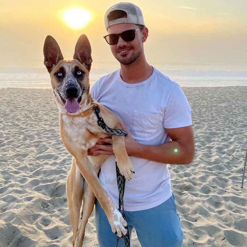 Taylor Lautner and More Hollywood Hunks Walking Their Dogs