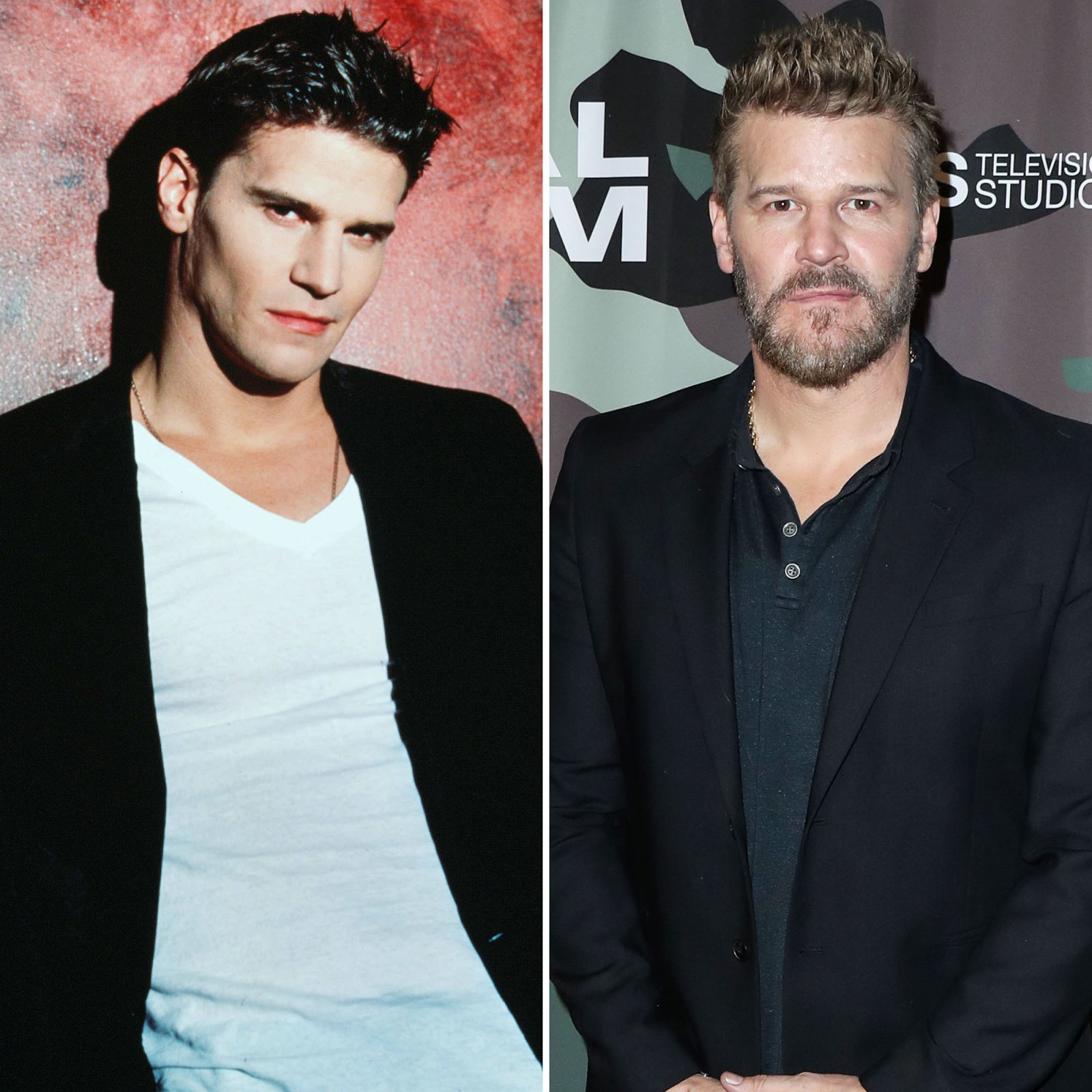 Unforgettable WB Hunks Where Are They Now David Boreanaz