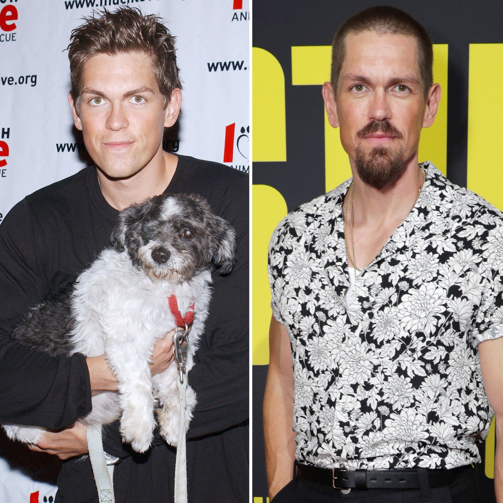 Unforgettable WB Hunks Where Are They Now Steve Howey