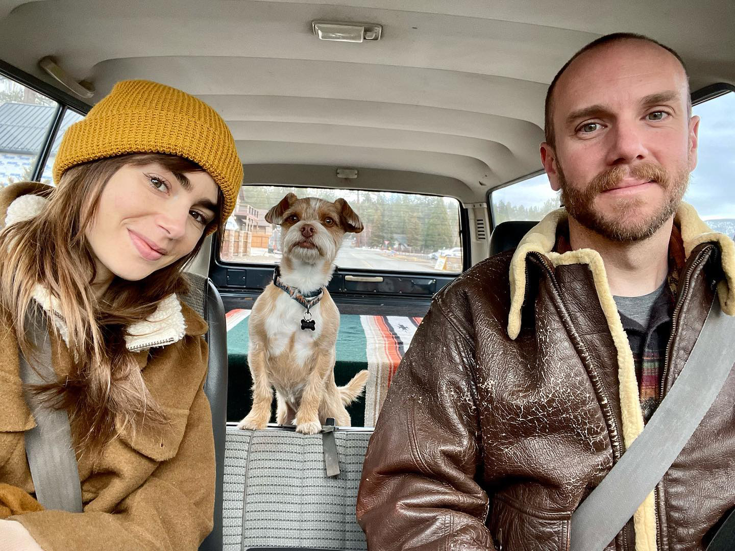 The Social Media Lives of Celebrity Pets: Unveiling their Online Paw-trait!