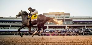 Pegasus World Cup