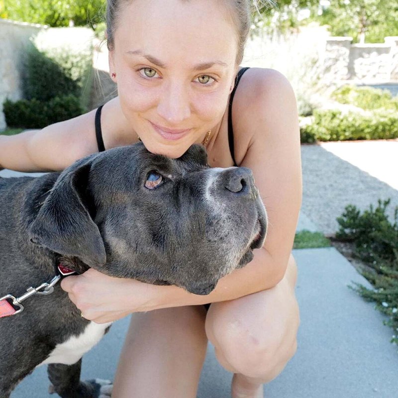 Animal Lover Meet Kaley Cuocos Furry Family Many Pets