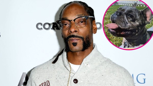 Back Home! Snoop Dogg Gets Emotional After Missing Bulldog Is Found Safe