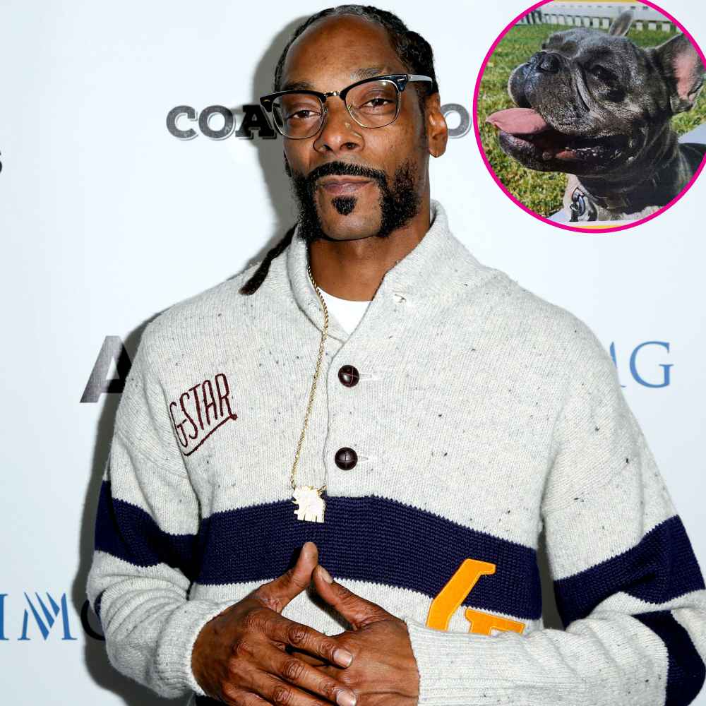 Back Home! Snoop Dogg Gets Emotional After Missing Bulldog Is Found Safe