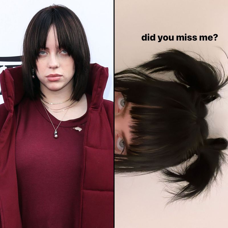 Billie Eilish Chrissy Teigen, Lea Michele and More Celebrity Hair Transformations of 2022