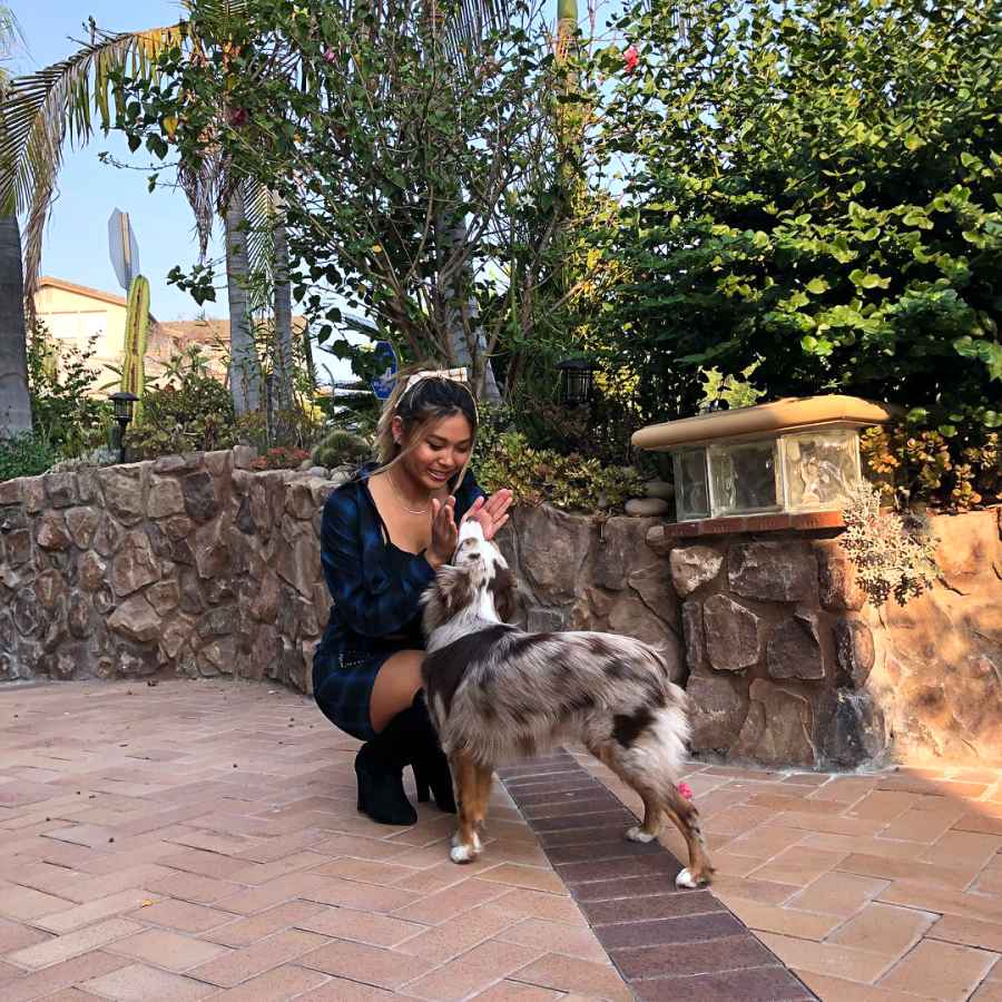 A Complete Guide to Team USA’s Pets