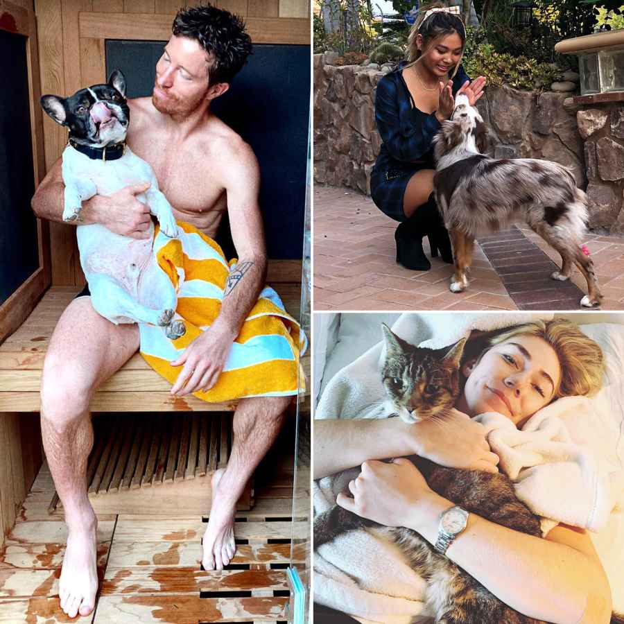 A Complete Guide to Team USA’s Pets
